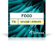 iZotope Iris Plus 7 Sound Library 音色库的图片4