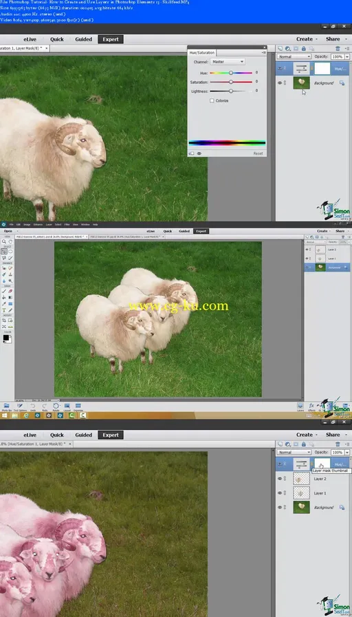 How to Create and Use Layers in Photoshop Elements 13的图片2