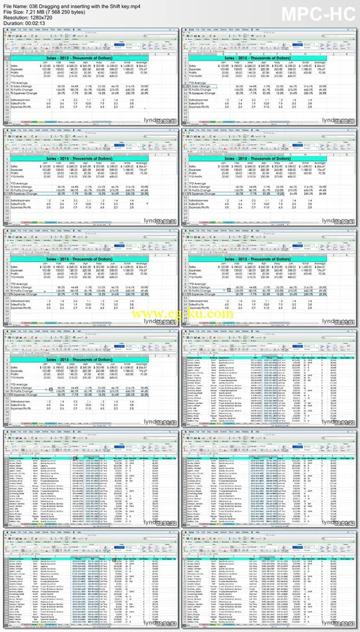 Lynda – Excel for Mac 2011 Tips and Tricks的图片2