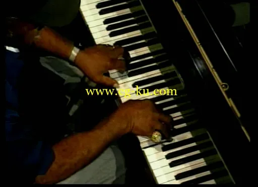 The Blues/Rock Piano of Johnnie Johnson的图片3