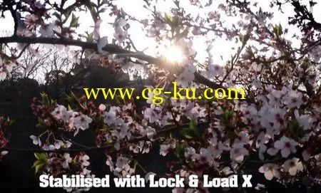 Lock And Load X 2.0 (96) for FCPX / PremierePro / AE的图片1