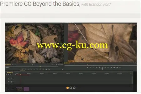 Premiere CC Beyond the Basics, with Brandon Ford的图片1