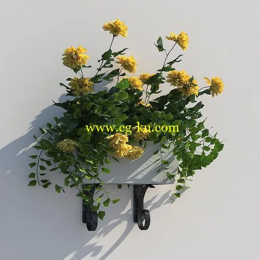 R&D Group – iFlowers vol.5 Stands 花卉合集5的图片5