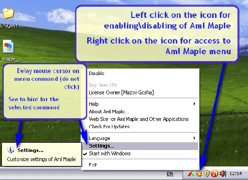 Aml Maple 4.15 Build 626 Multilingual + Portable的图片1