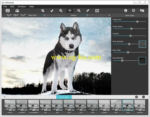 JixiPix Snow Daze 1.21 x86/x64 + Portable的图片1