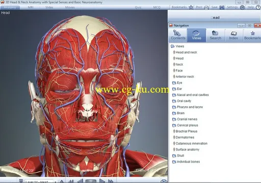3D Head and Neck Anatomy with Special Senses and Basic Neuroanatomy的图片3