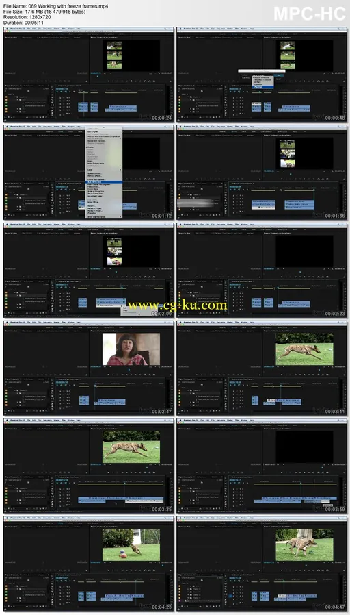 Lynda – Premiere Pro CC Essential Training (2015)的图片2