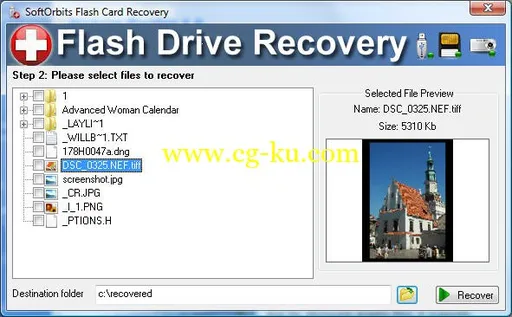 Flash Drive Recovery 2.0的图片1