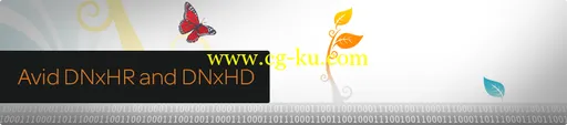 Avid DNxHR v.1.0.1 and DNxHD QT CODECs Pack PE v.2.7.0的图片1