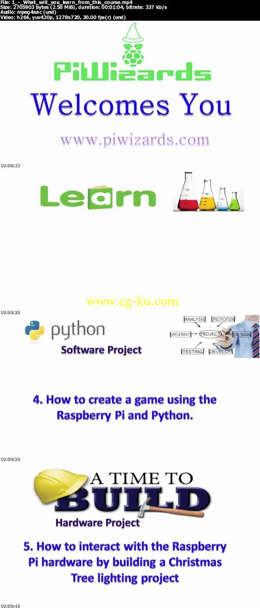 Introduction to Raspberry Pi的图片1