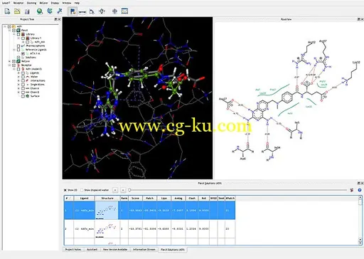 BioSolveIT LeadIT 2.1.8的图片1