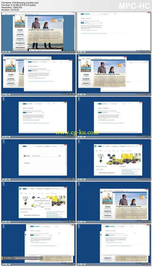 Lynda – Up and Running with Internet Explorer的图片2