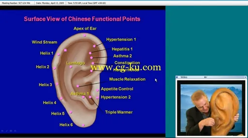 Dr. Terry Oleson – Auriculotherapy Training的图片4