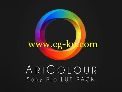 AriColour Sony Pro LUT Pack v1.3 for Premiere Pro, Resolve and FCP X (Win/Mac)的图片1