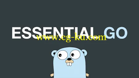 Essential Go (2015)的图片2