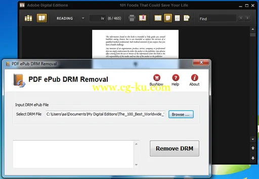 PDF ePub DRM Removal 5.3.1027.222 EPUB DRM解密的图片2