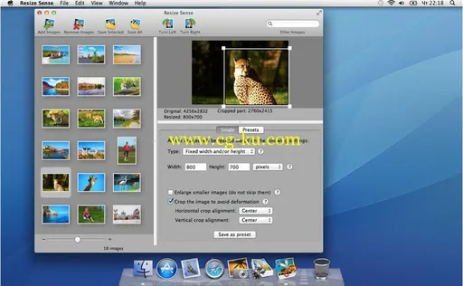 VeprIT Resize Sense 2.2.0 MacOSX的图片1