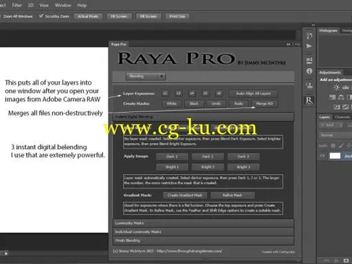 Raya Pro – Ultimate Digital Blending Panel for Adobe Photoshop的图片1