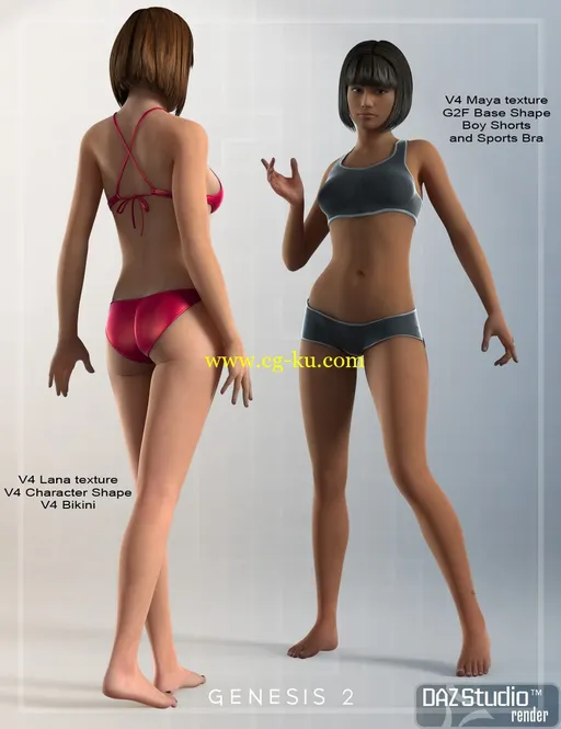 Daz3D Victoria 4 for Genesis 2 Female的图片1