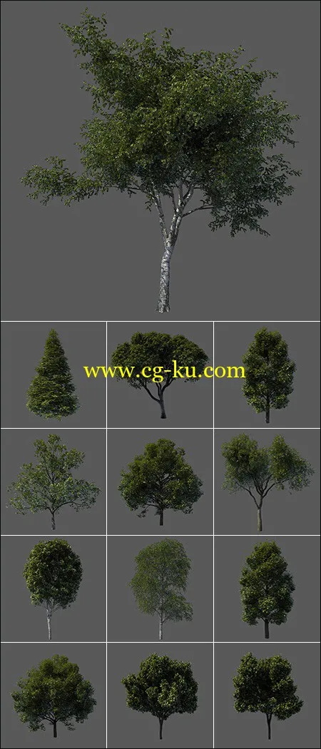 3D Models Tree from Vargov的图片1