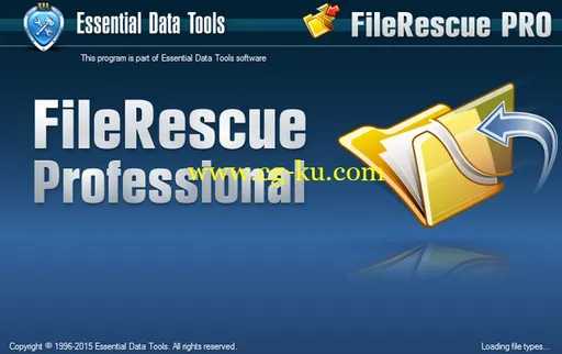 FileRescue Professional 4.12 Build 215的图片1