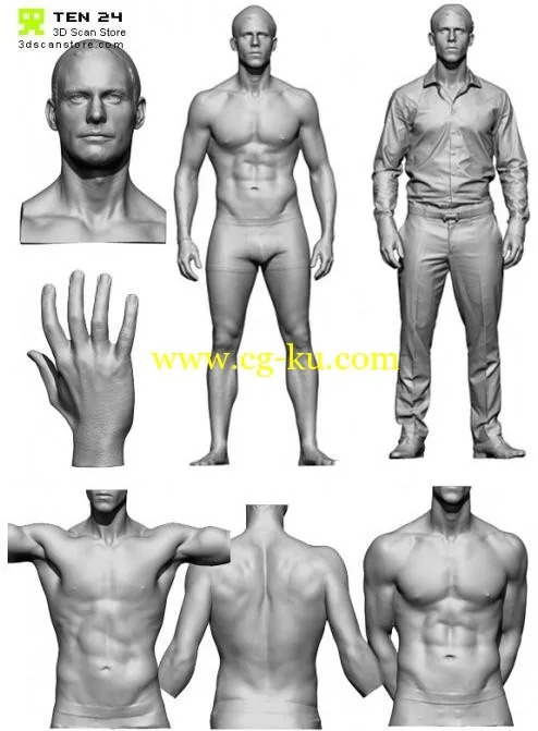 3D Scan Store – Male Anatomy Bundle的图片1