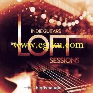 Big Fish Audio Indie Guitars The Loft Sessions [KONTAKT / MULTIFORMAT]的图片1