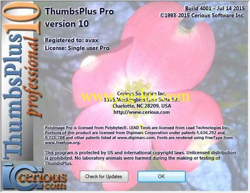 ThumbsPlus Pro 10 SP2 Build 4015的图片1
