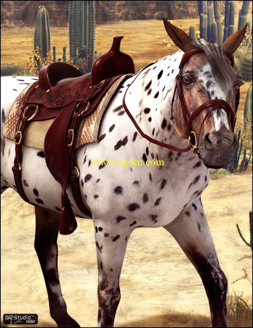 Daz3D Horse 2 Pro Bundle的图片2