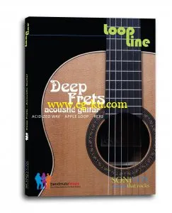 Bandmates Deep Frets Acoustic Guitar MULTiFORMAT SCD-AMPLiFYiSO的图片1