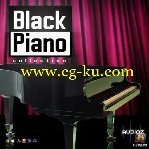 Rafik Loops Black Piano Collection MULTiFORMAT的图片1