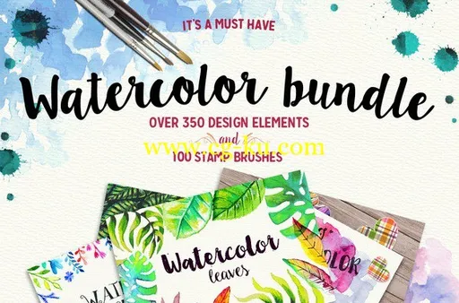 Creativemarket – 350 Watercolor Elements and Brushes的图片1