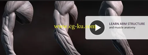 Dixxl Tuxxs – Sculpting Human Arms in ZBrush 解剖塑身教程的图片2