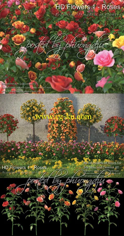 3DMentor HD Flowers 1: ROSES – FULL MAX format 玫瑰花3D模型的图片1