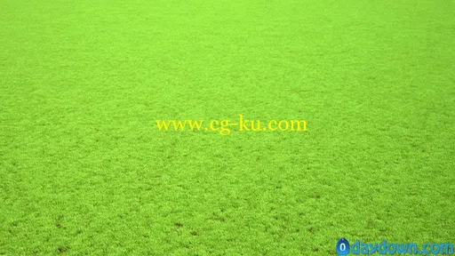 R&D Group – iGrass Vol.1 草模型的图片7