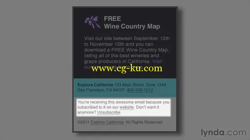 Lynda: Email Marketing Basics with John Arnold的图片2