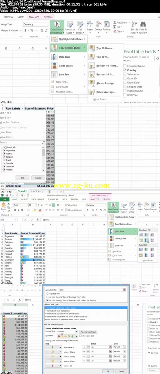 Stress-Free Excel 2013 PivotTables: Analyzing Your Data的图片1