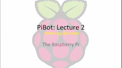 Udemy – PiBot: Build Your Own Raspberry Pi Powered Robot的图片1