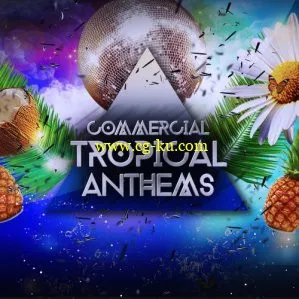 Audio Masters Commercial Tropical Anthems WAV AiFF MiDi-DISCOVER的图片1