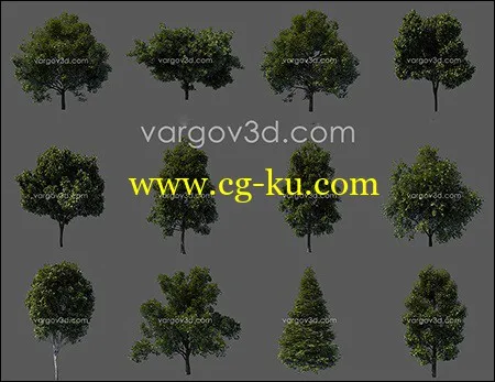 3d Tree Models的图片1