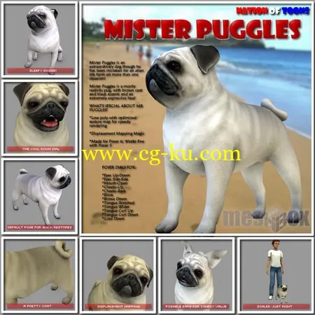 Renderosity Mister Puggles for Poser (N1MGEO08-POS)的图片1