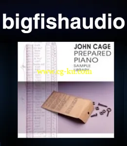 Big Fish Audio John Cage Prepared Piano MULTIFORMAT的图片1