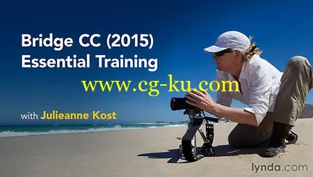 Lynda – Bridge CC (2015) Essential Training的图片1