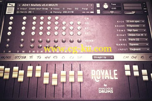 Analogue Drums Royale KONTAKT的图片1