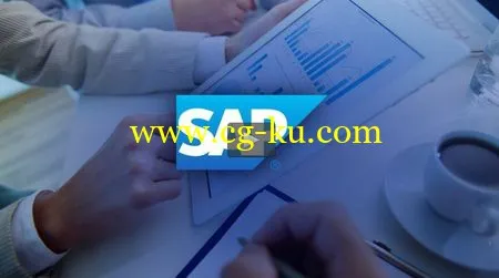 UDEMY – SAP – SAP Beginners的图片2