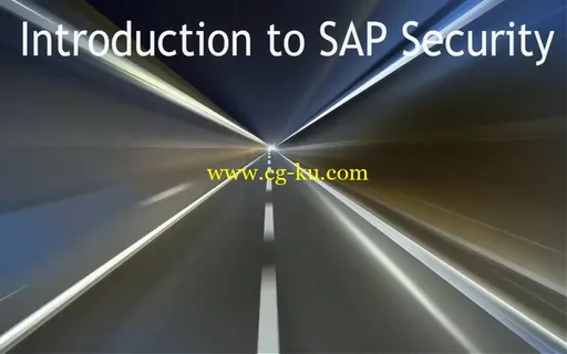 SAP – SAP Audit的图片1