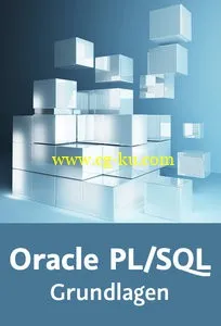 Oracle PL/SQL – Grundlagen Die prozedurale Programmiersprache für Oracle-Datenbanken kennen lernen und nutzen的图片2