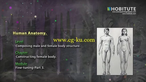 Easy Steps to Figure Drawing – Anatomy of Male & Female Body (2015)的图片1