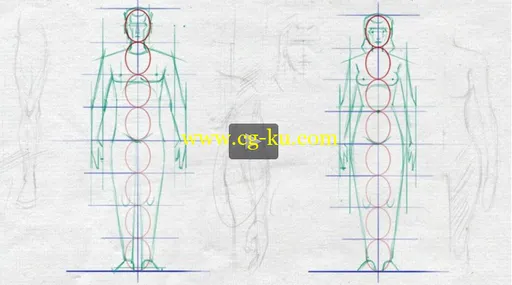 Easy Steps to Figure Drawing – Anatomy of Male & Female Body (2015)的图片2