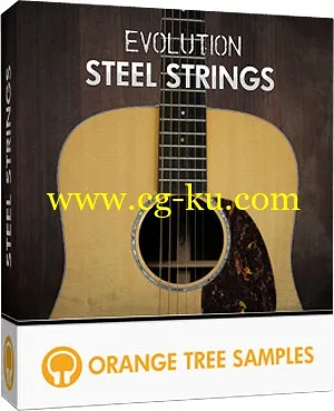 Orange Tree Samples Evolution Acoustic Guitar Steel Strings v2 KONTAKT的图片1